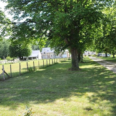Petite Maison Des Roses - Gite 2 Personnes Brain-sur-Allonnes ภายนอก รูปภาพ